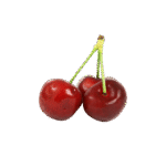 Branch Apple